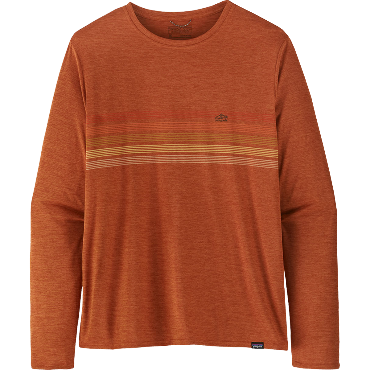 Men's Long Sleeve Capilene Cool Daily Graphic Shirt