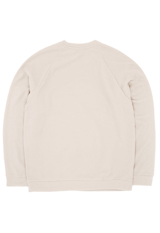 Patagonia Men's Micro D Crewneck - Pelican